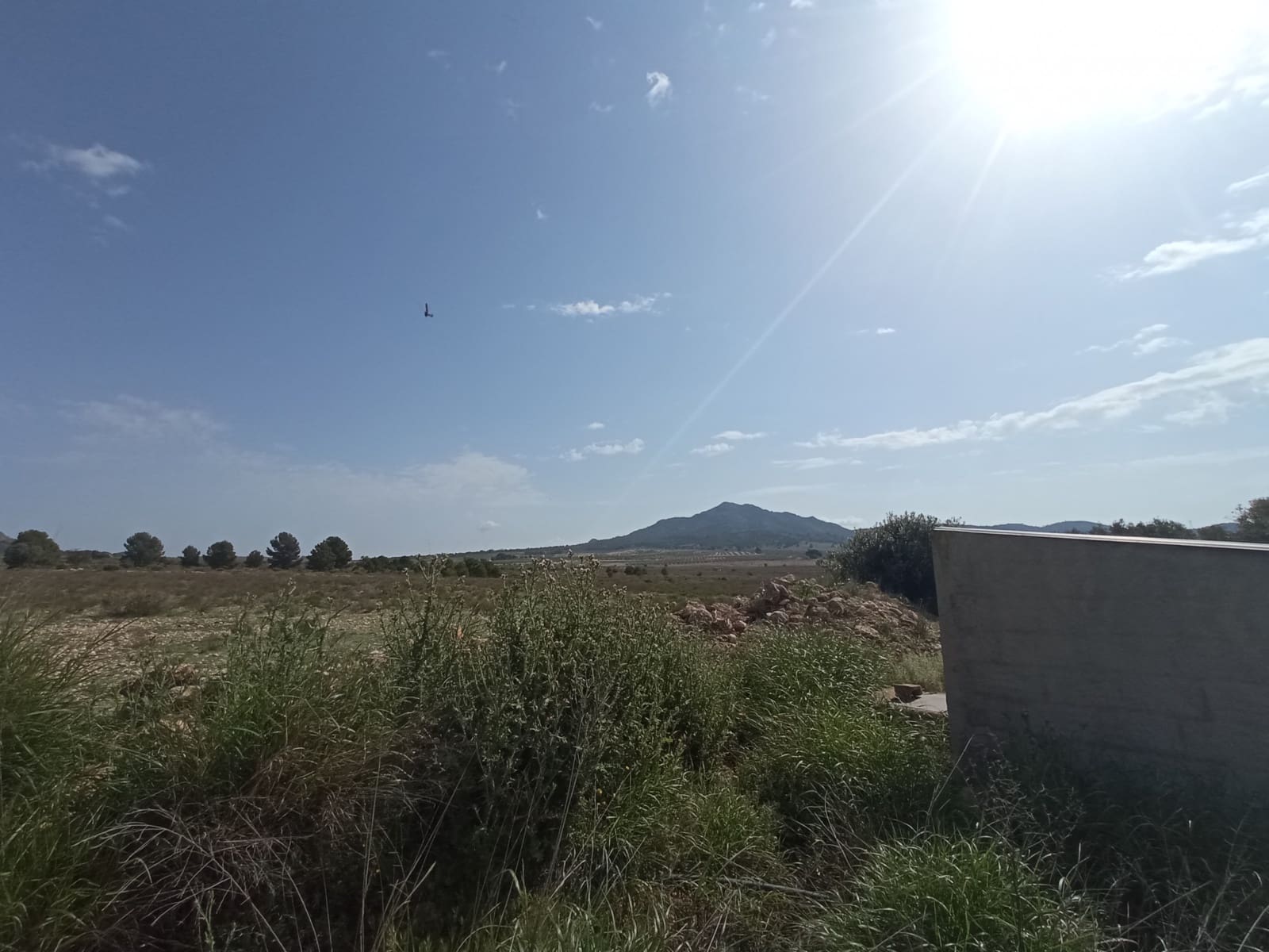 Bouwgrond te koop in Salinas - € 99.995 (Ref: 9679336)