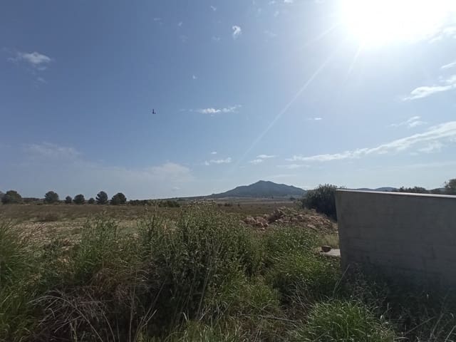 Bouwgrond te koop in Salinas - € 99.995 (Ref: 9679336)