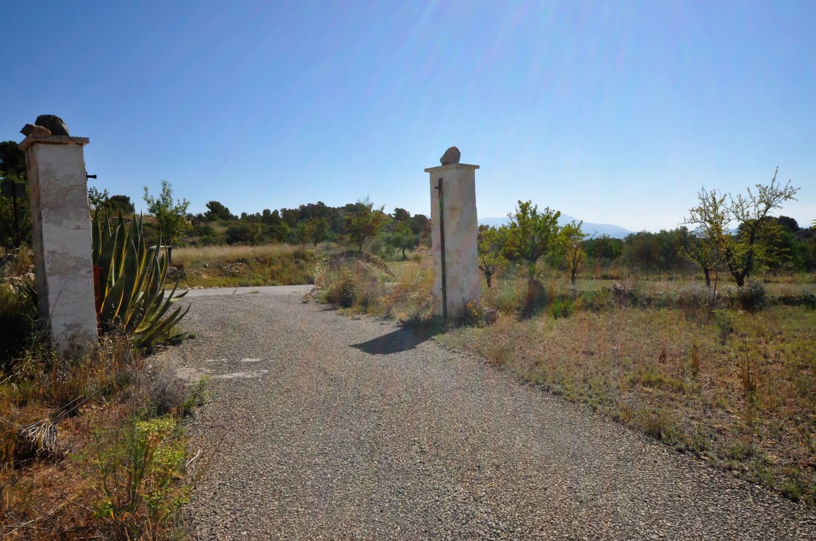 3 chambre Finca/Maison de Campagne à vendre à Monovar / Monover avec piscine - 155 000 € (Ref: 9743997)