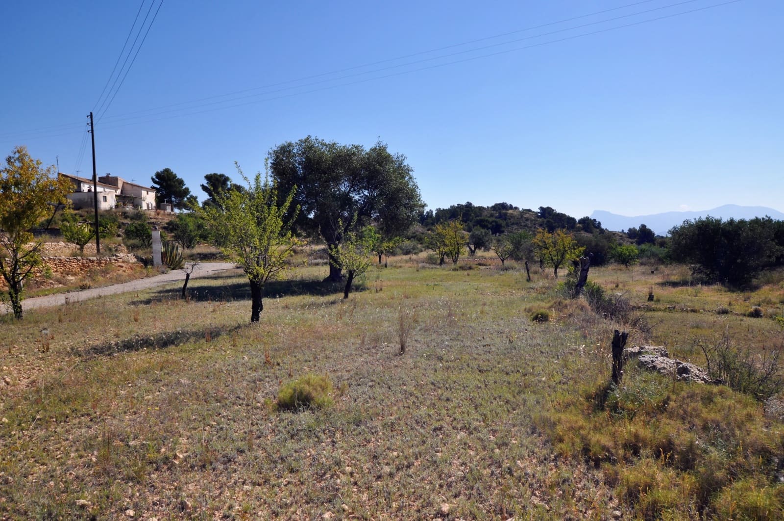 3 chambre Finca/Maison de Campagne à vendre à Monovar / Monover avec piscine - 155 000 € (Ref: 9743997)