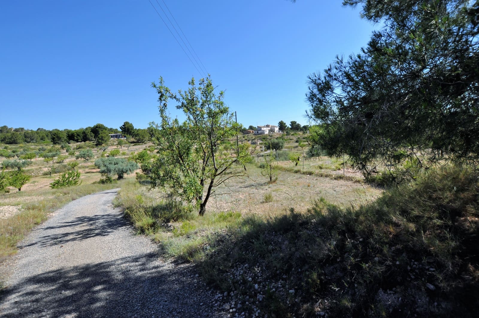 3 chambre Finca/Maison de Campagne à vendre à Monovar / Monover avec piscine - 155 000 € (Ref: 9743997)