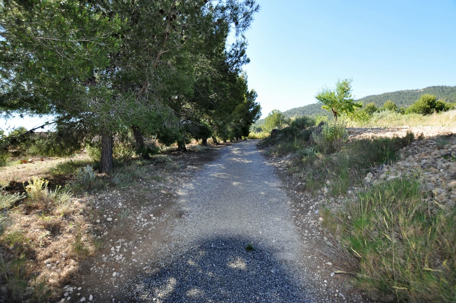 3 chambre Finca/Maison de Campagne à vendre à Monovar / Monover avec piscine - 155 000 € (Ref: 9743997)