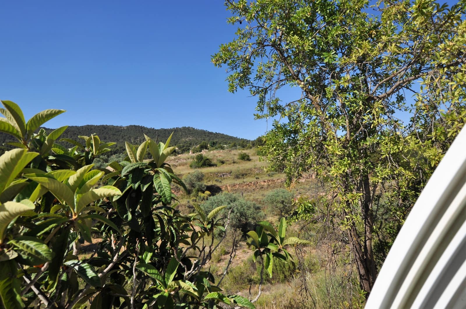 3 chambre Finca/Maison de Campagne à vendre à Monovar / Monover avec piscine - 155 000 € (Ref: 9743997)