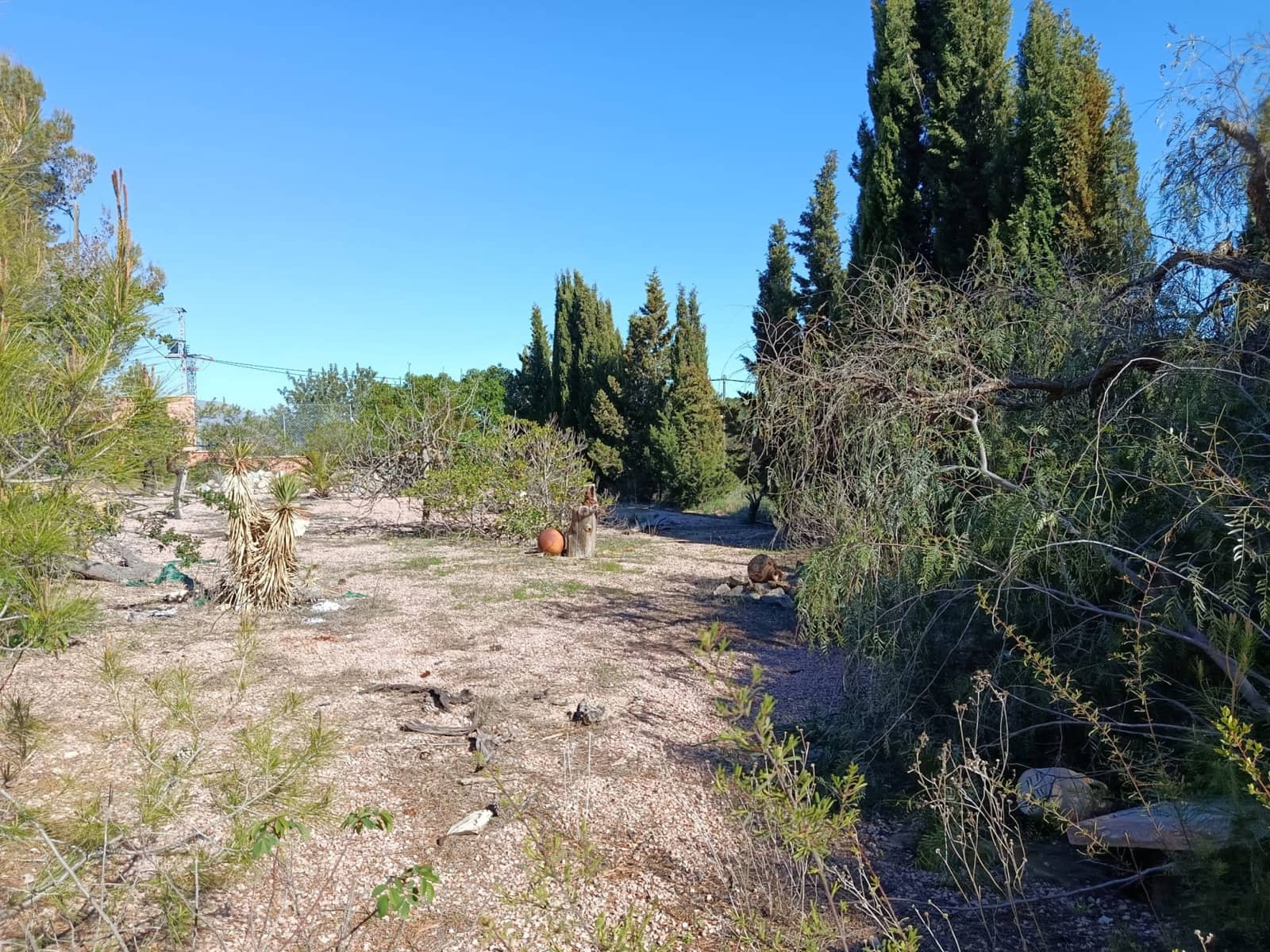 3 chambre Finca/Maison de Campagne à vendre à Monovar / Monover avec piscine - 155 000 € (Ref: 9743997)