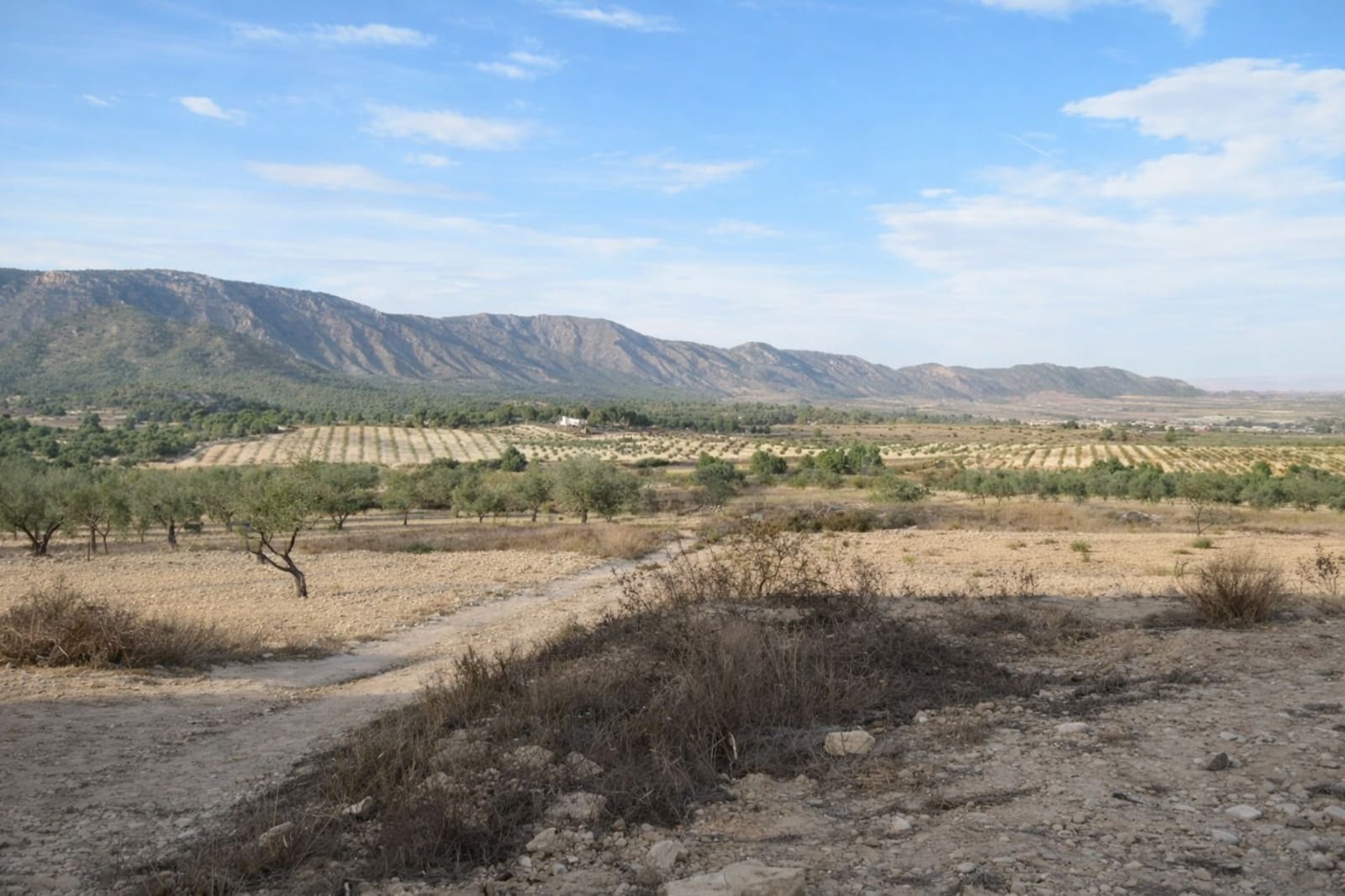 7 sypialnia Finka/Dom wiejski na sprzedaż w Salinas - 625 000 € (Ref: 9787947)