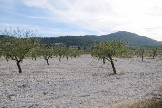 7 sypialnia Finka/Dom wiejski na sprzedaż w Salinas - 625 000 € (Ref: 9787947)