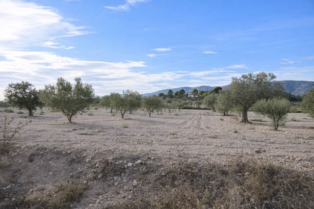 7 sypialnia Finka/Dom wiejski na sprzedaż w Salinas - 625 000 € (Ref: 9787947)