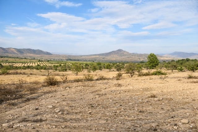 7 sypialnia Finka/Dom wiejski na sprzedaż w Salinas - 625 000 € (Ref: 9787947)