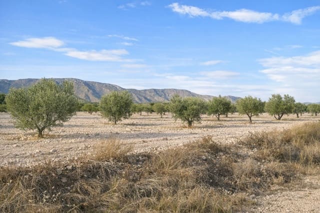 7 sypialnia Finka/Dom wiejski na sprzedaż w Salinas - 625 000 € (Ref: 9787947)