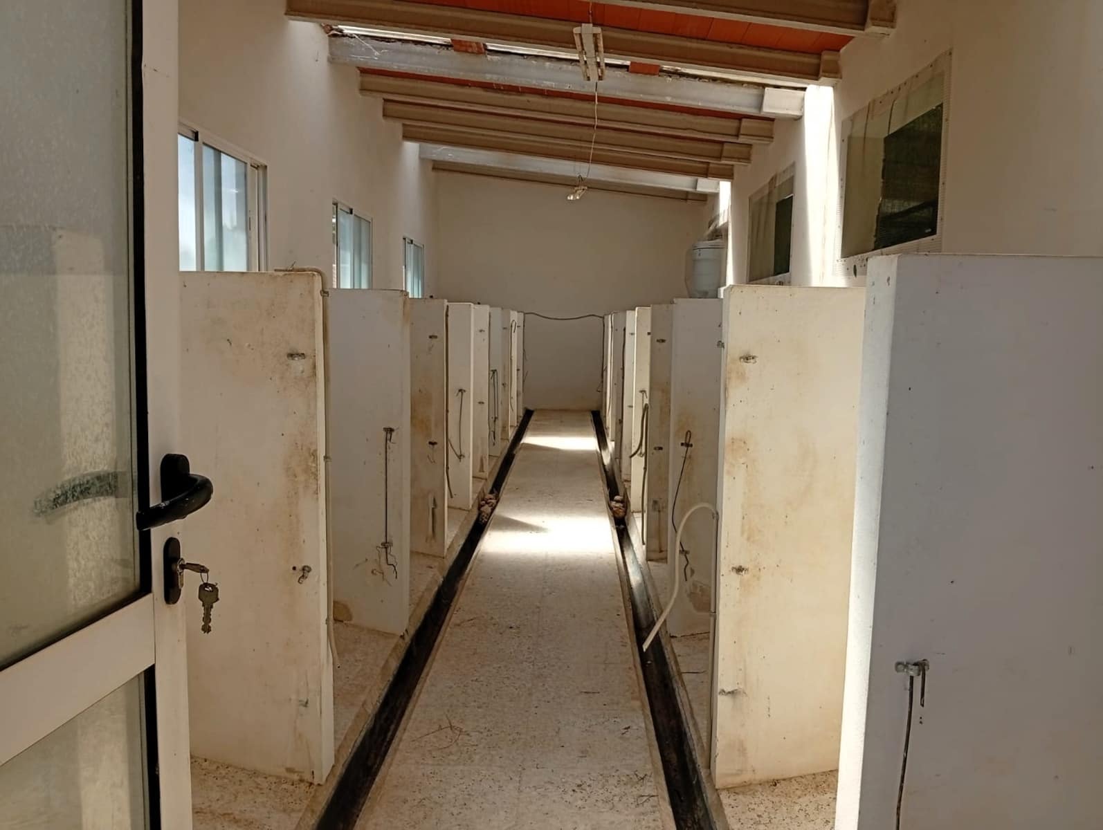 4 sypialnia Finka/Dom wiejski na sprzedaż w Salinas z basenem garażem - 470 000 € (Ref: 9789934)