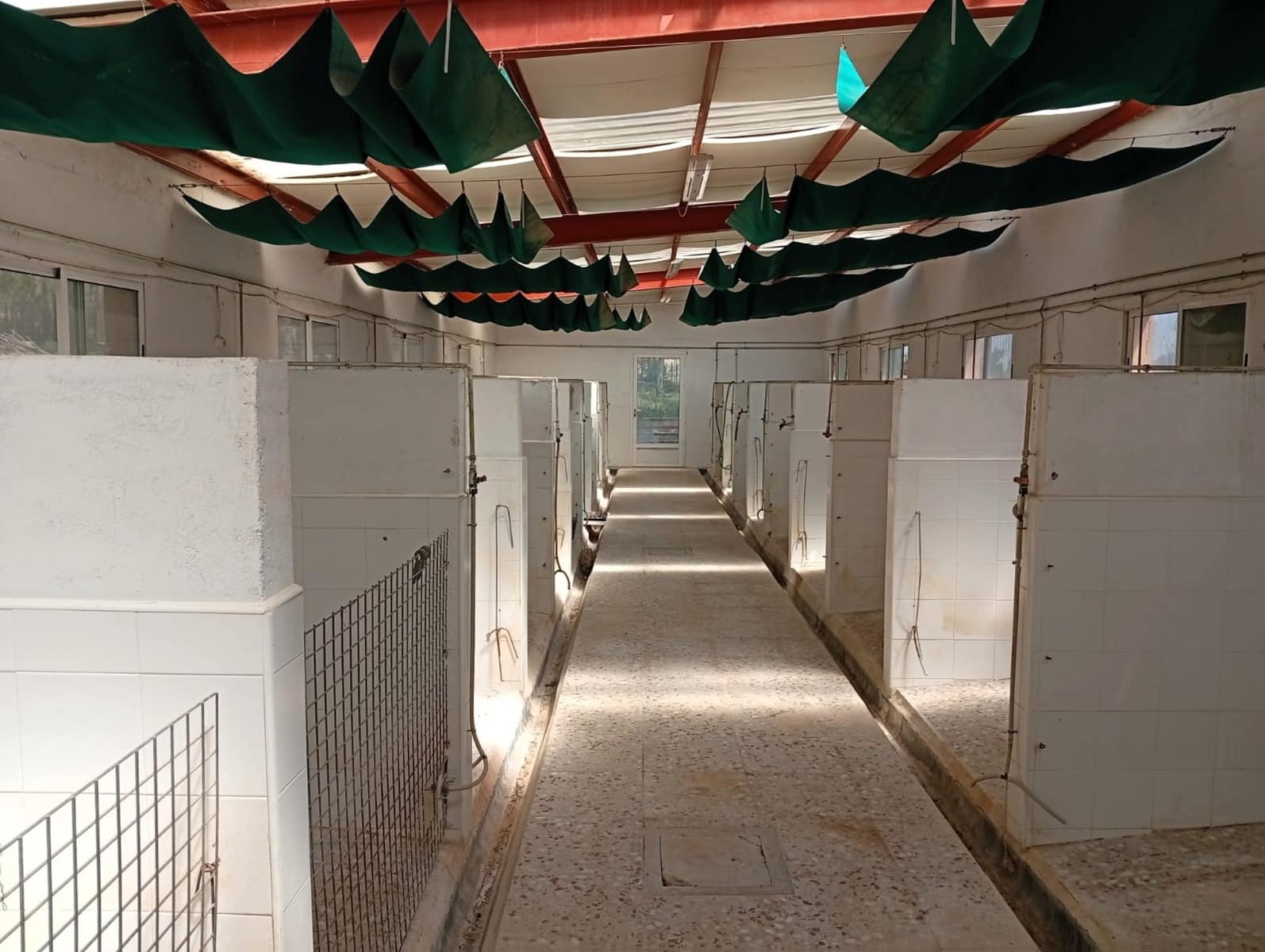 4 sypialnia Finka/Dom wiejski na sprzedaż w Salinas z basenem garażem - 470 000 € (Ref: 9789934)