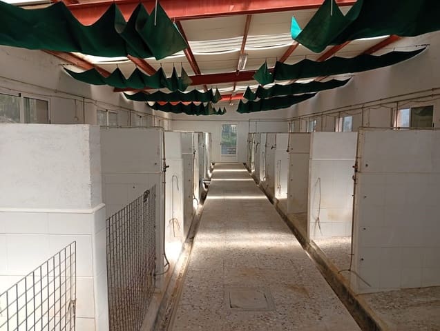 4 sypialnia Finka/Dom wiejski na sprzedaż w Salinas z basenem garażem - 470 000 € (Ref: 9789934)