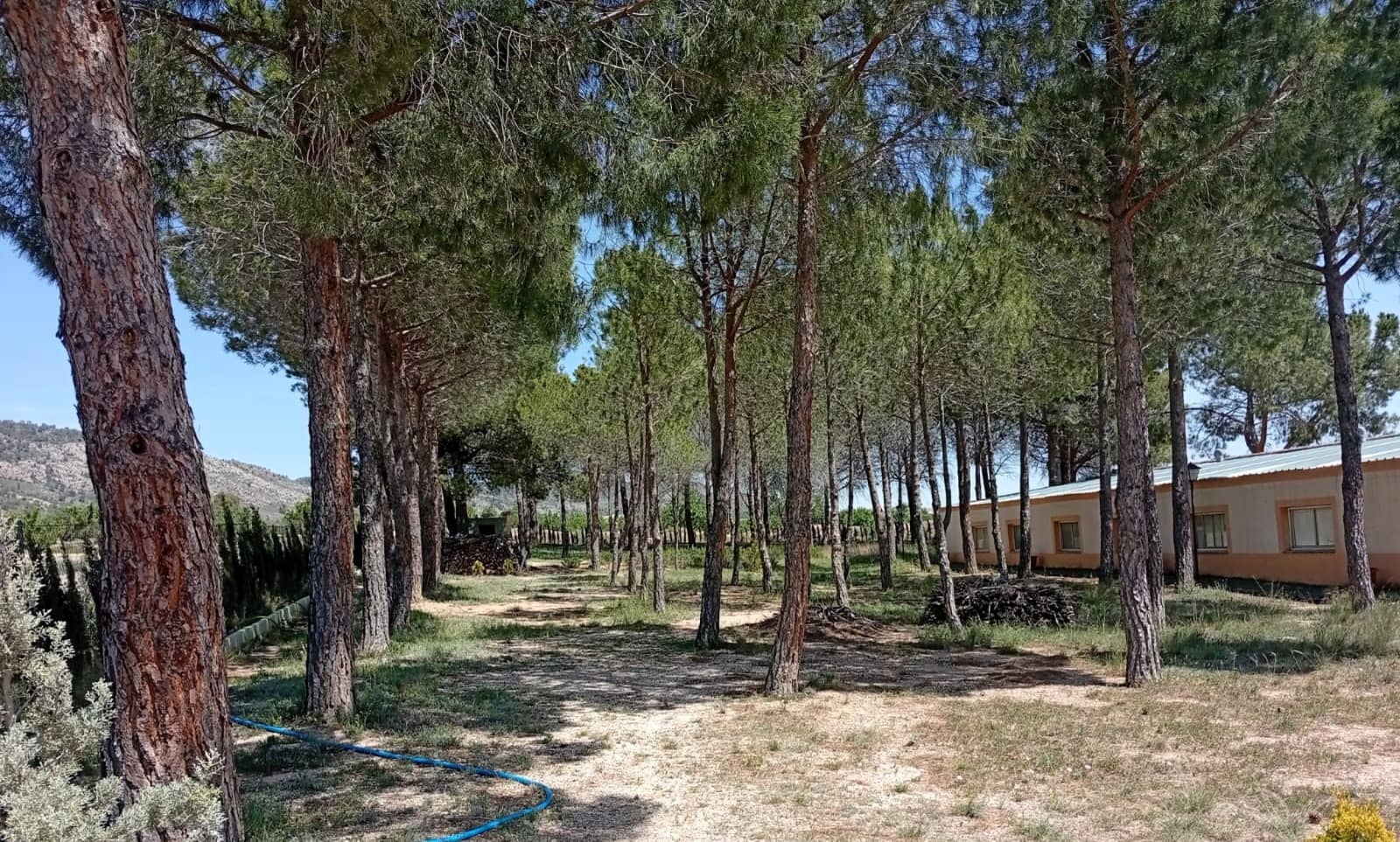 4 sypialnia Finka/Dom wiejski na sprzedaż w Salinas z basenem garażem - 470 000 € (Ref: 9789934)