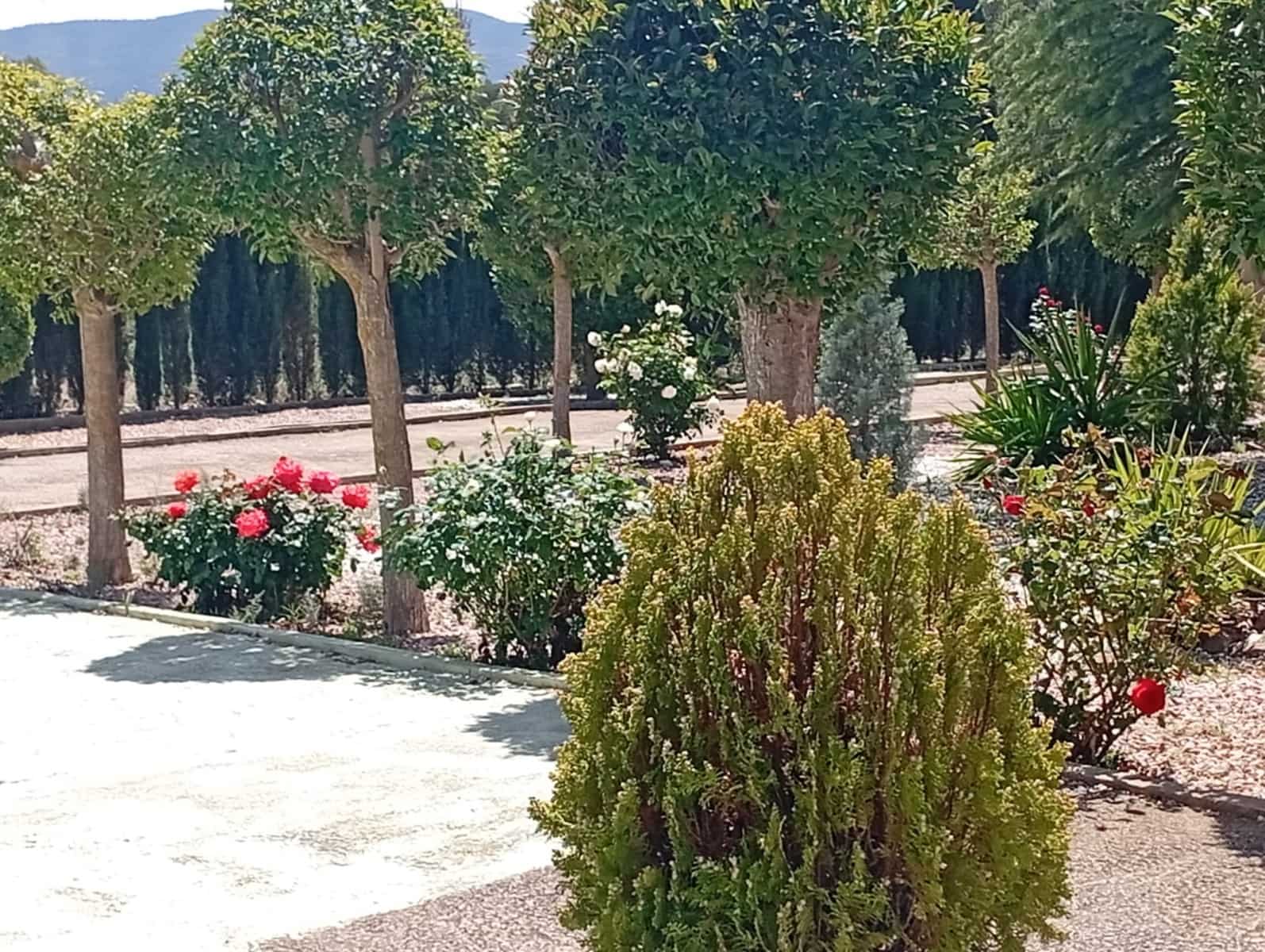 4 sypialnia Finka/Dom wiejski na sprzedaż w Salinas z basenem garażem - 470 000 € (Ref: 9789934)