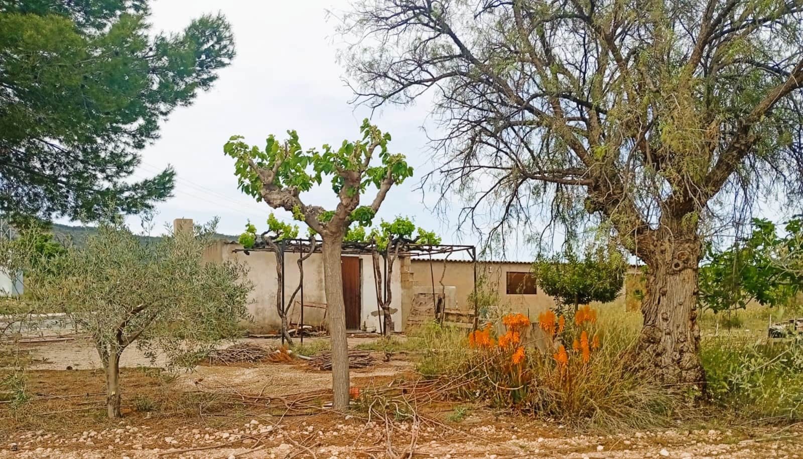 1 slaapkamer Finca/Landhuis te koop in Salinas - € 49.000 (Ref: 9789942)