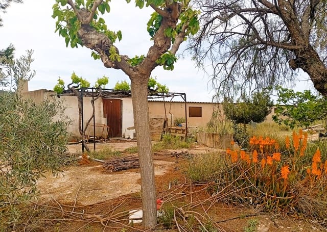 1 slaapkamer Finca/Landhuis te koop in Salinas - € 49.000 (Ref: 9789942)