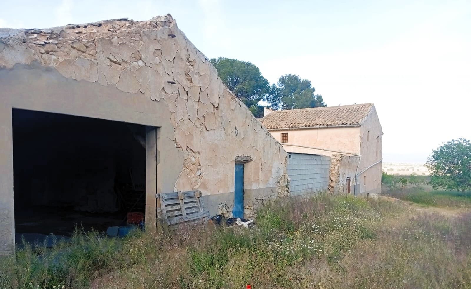 8 sovrum Finca/Hus på landet till salu i Salinas med pool - 450 000 € (Ref: 9798468)