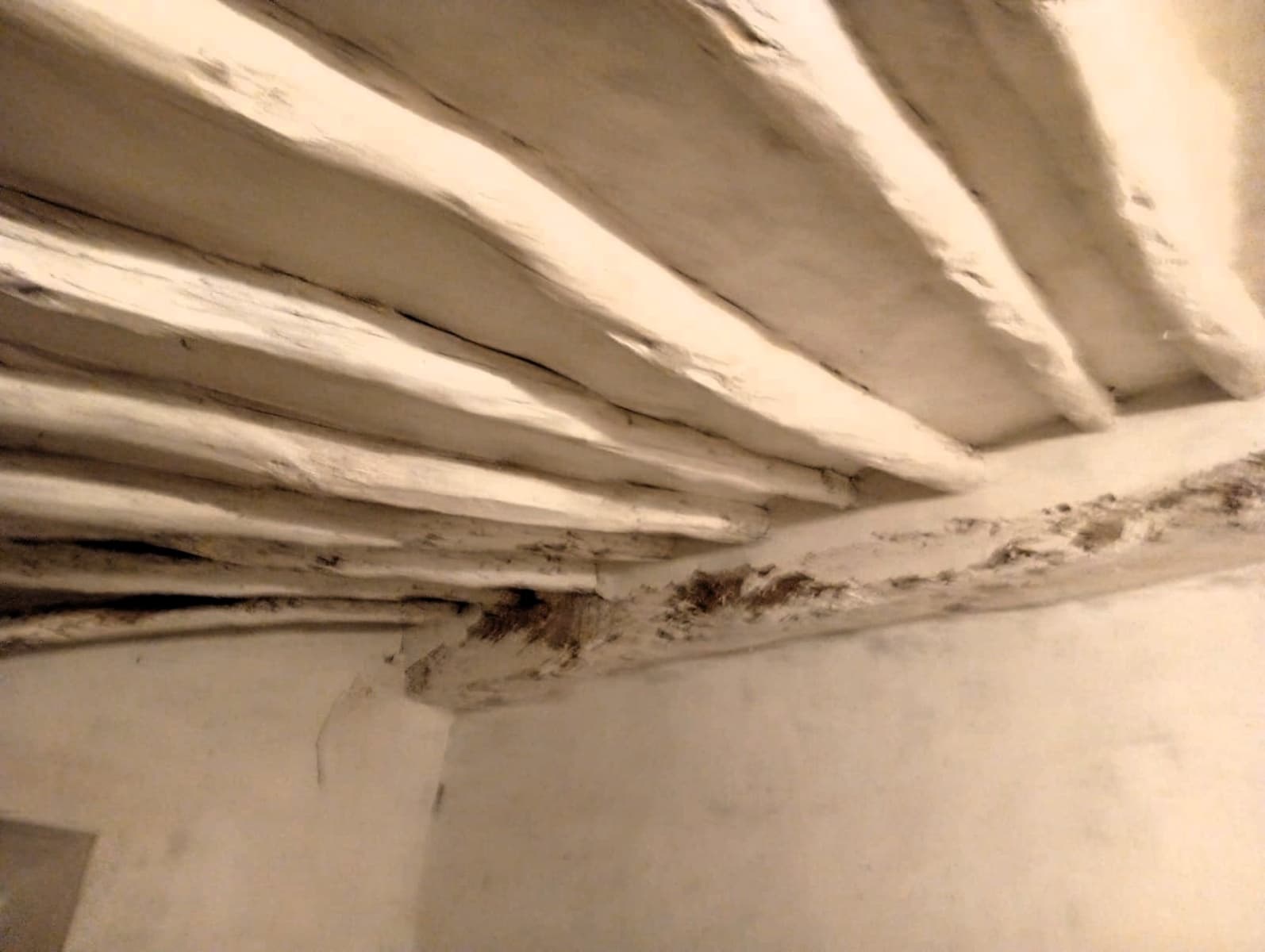 8 sovrum Finca/Hus på landet till salu i Salinas med pool - 450 000 € (Ref: 9798468)