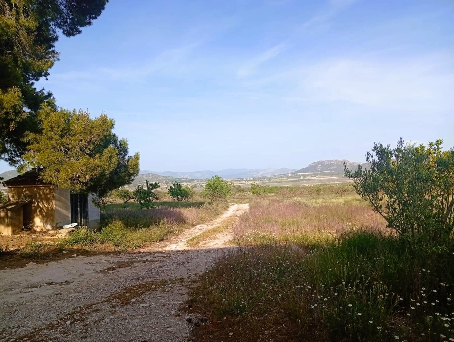 8 sovrum Finca/Hus på landet till salu i Salinas med pool - 450 000 € (Ref: 9798468)