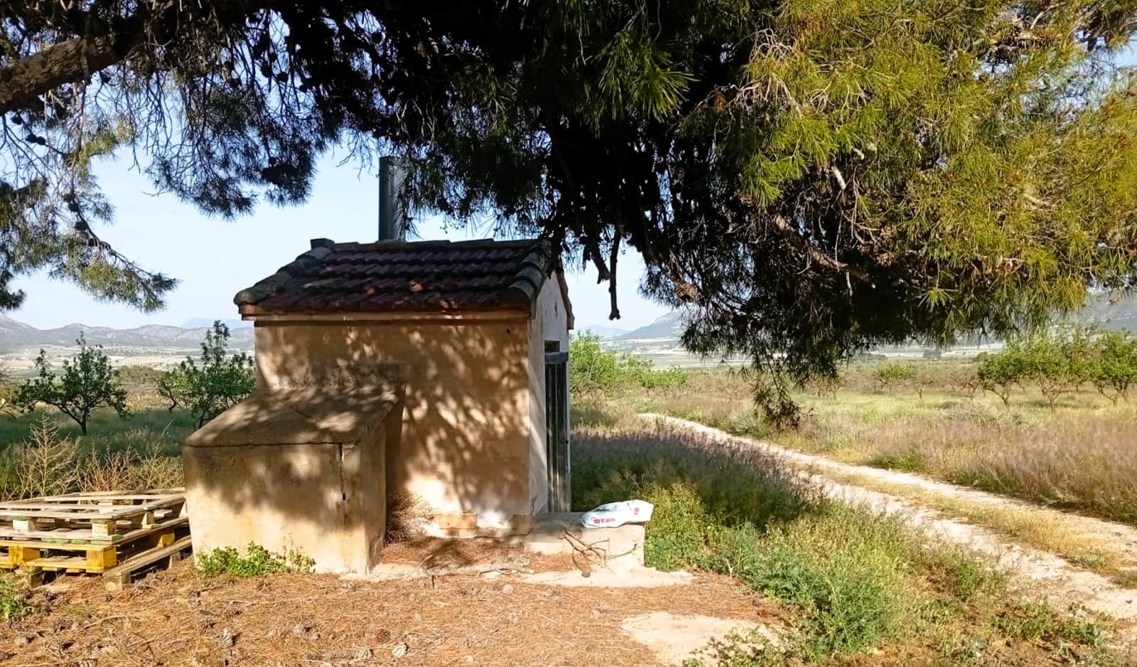 8 sovrum Finca/Hus på landet till salu i Salinas med pool - 450 000 € (Ref: 9798468)