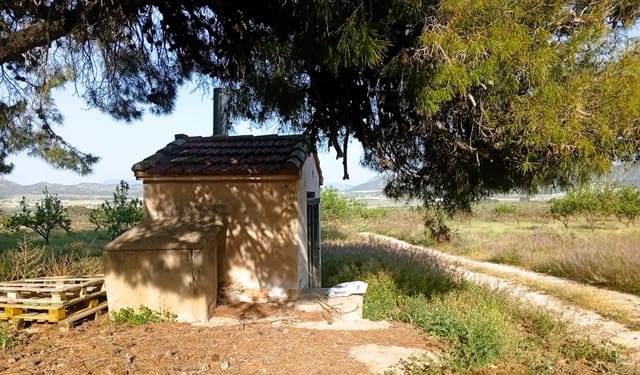 8 sovrum Finca/Hus på landet till salu i Salinas med pool - 450 000 € (Ref: 9798468)