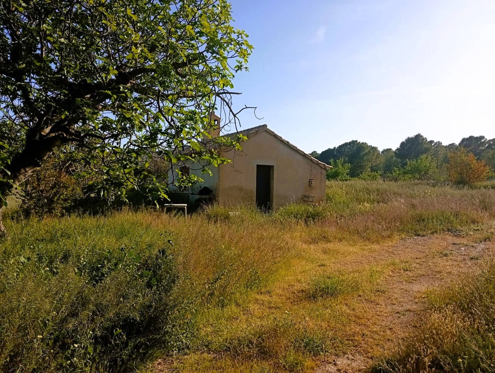 8 sovrum Finca/Hus på landet till salu i Salinas med pool - 450 000 € (Ref: 9798468)