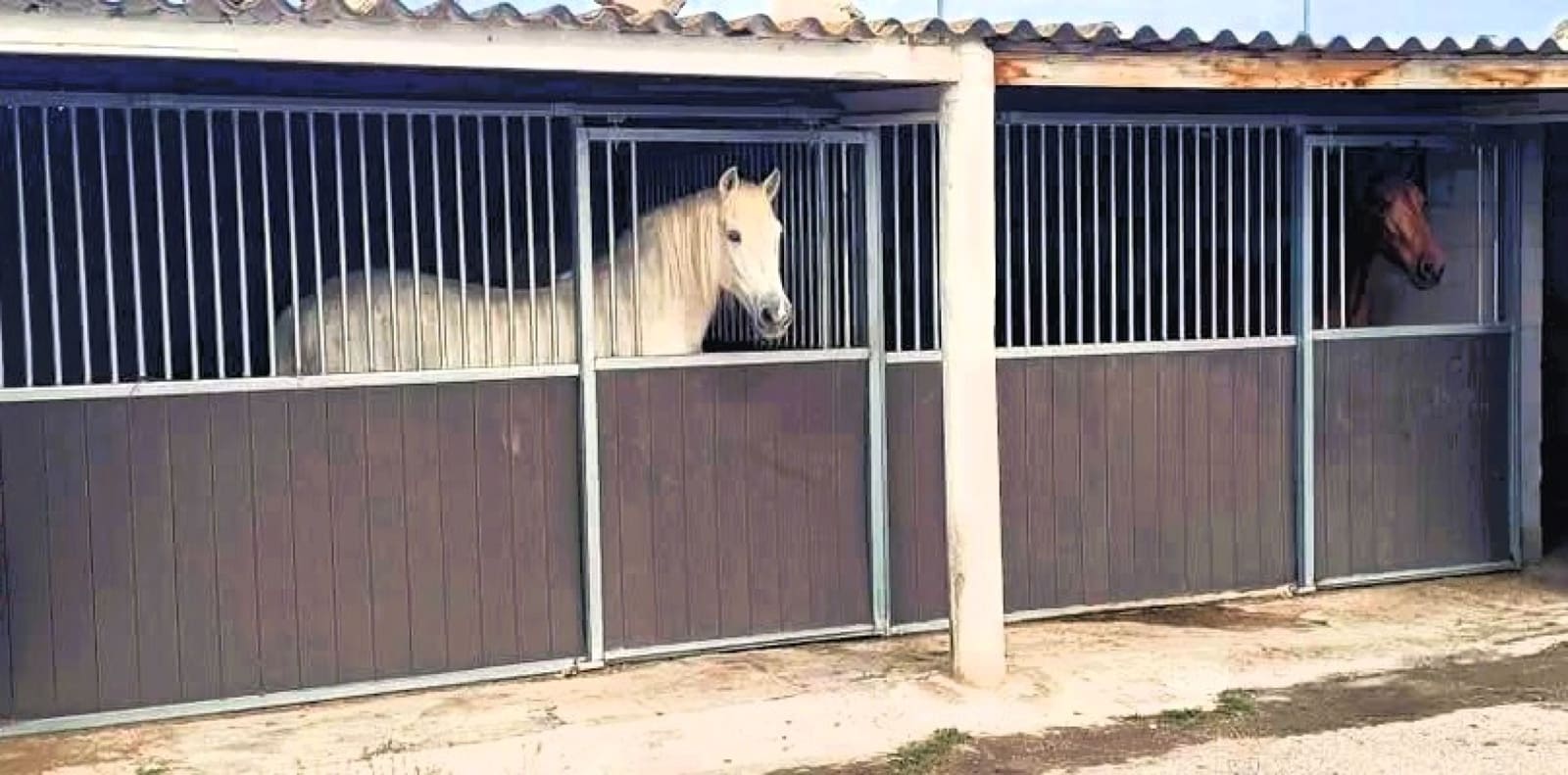 3 bedroom Finca/Country House for sale in Monovar / Monover with pool - € 199,995 (Ref: 9800837)