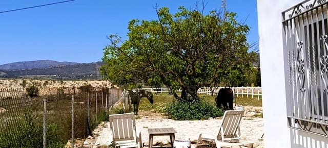 3 bedroom Finca/Country House for sale in Monóvar / Monóver with pool - € 199,995 (Ref: 9800837)
