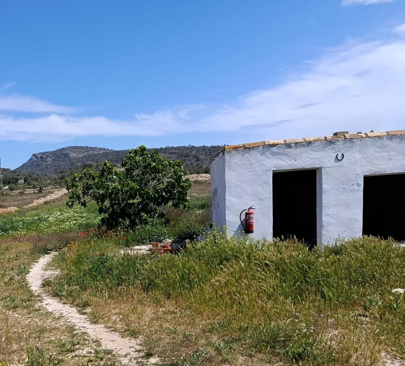 3 bedroom Finca/Country House for sale in Monovar / Monover with pool - € 199,995 (Ref: 9800837)