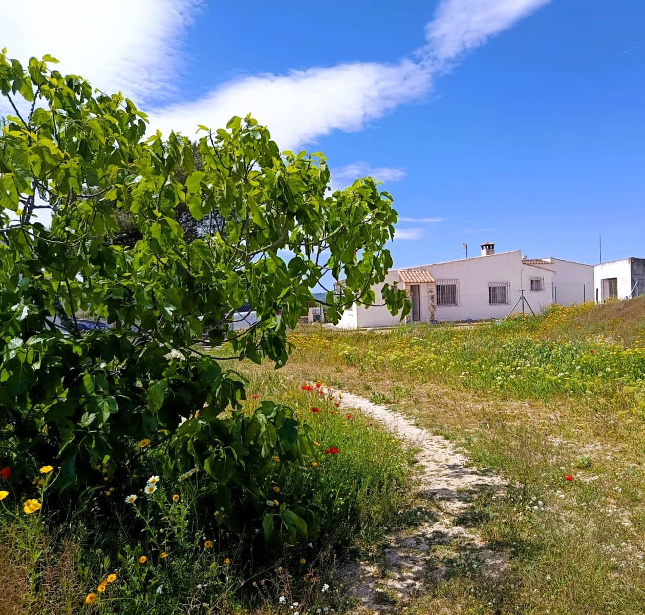3 bedroom Finca/Country House for sale in Monovar / Monover with pool - € 199,995 (Ref: 9800837)