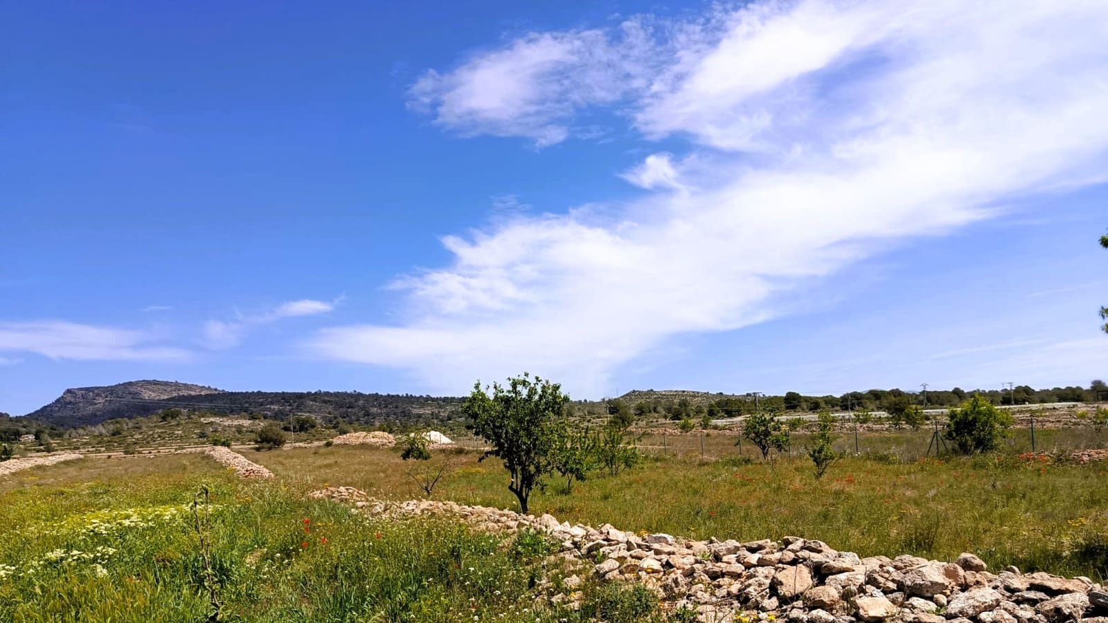 3 bedroom Finca/Country House for sale in Monovar / Monover with pool - € 199,995 (Ref: 9800837)