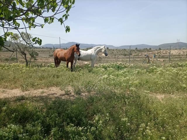 3 bedroom Finca/Country House for sale in Monóvar / Monóver with pool - € 199,995 (Ref: 9800837)