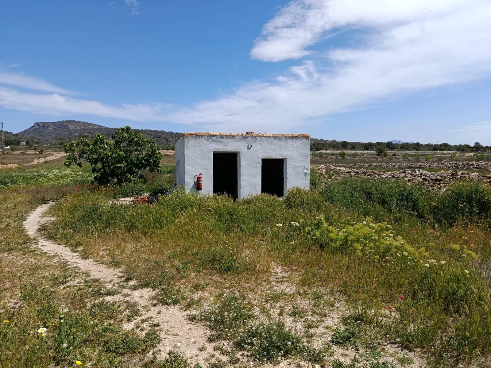 3 bedroom Finca/Country House for sale in Monovar / Monover with pool - € 199,995 (Ref: 9800837)