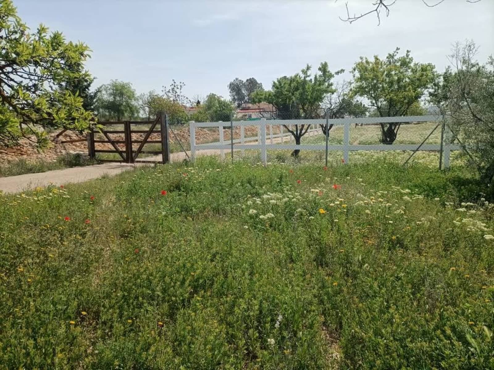 3 bedroom Finca/Country House for sale in Monovar / Monover with pool - € 199,995 (Ref: 9800837)