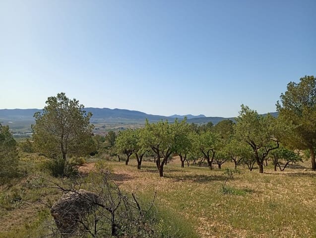 Casa Cueva de 2 habitaciones en Salinas en venta - 119.995 € (Ref: 9805406)