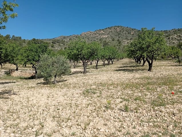 Casa Cueva de 2 habitaciones en Salinas en venta - 119.995 € (Ref: 9805406)