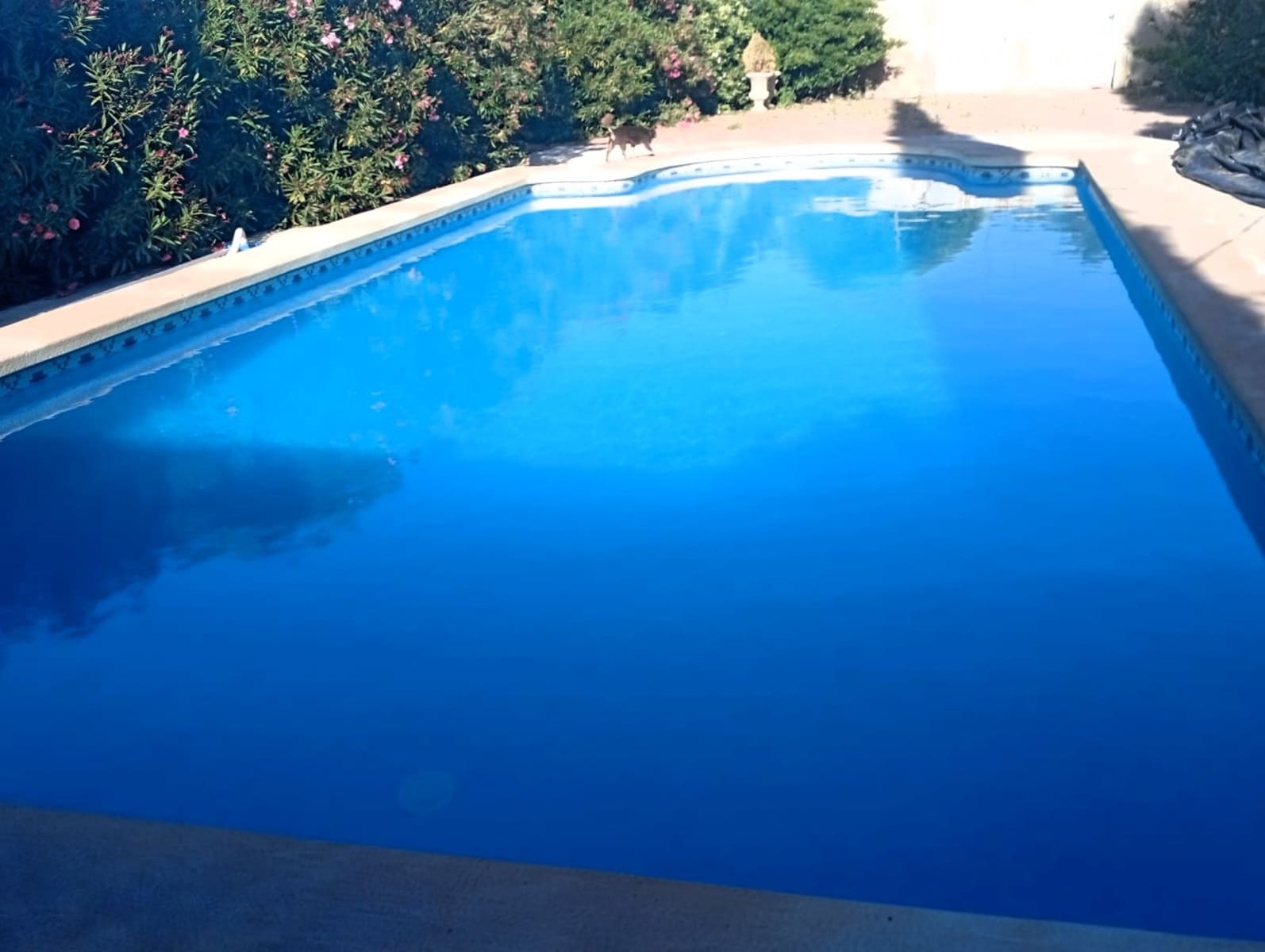 7 soveværelse Byhus til salg i Pinoso med swimmingpool - € 255.000 (Ref: 9893544)