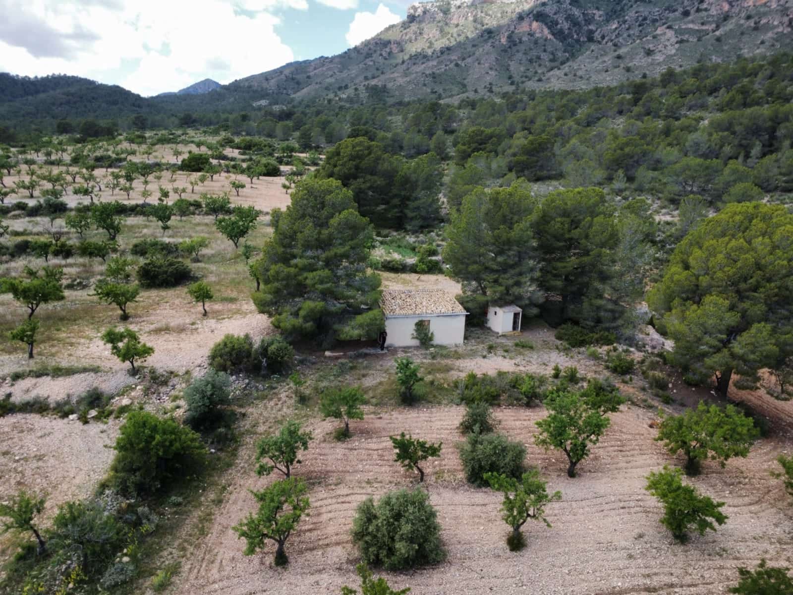 1 bedroom Finca/Country House for sale in Salinas - € 86,000 (Ref: 9893545)