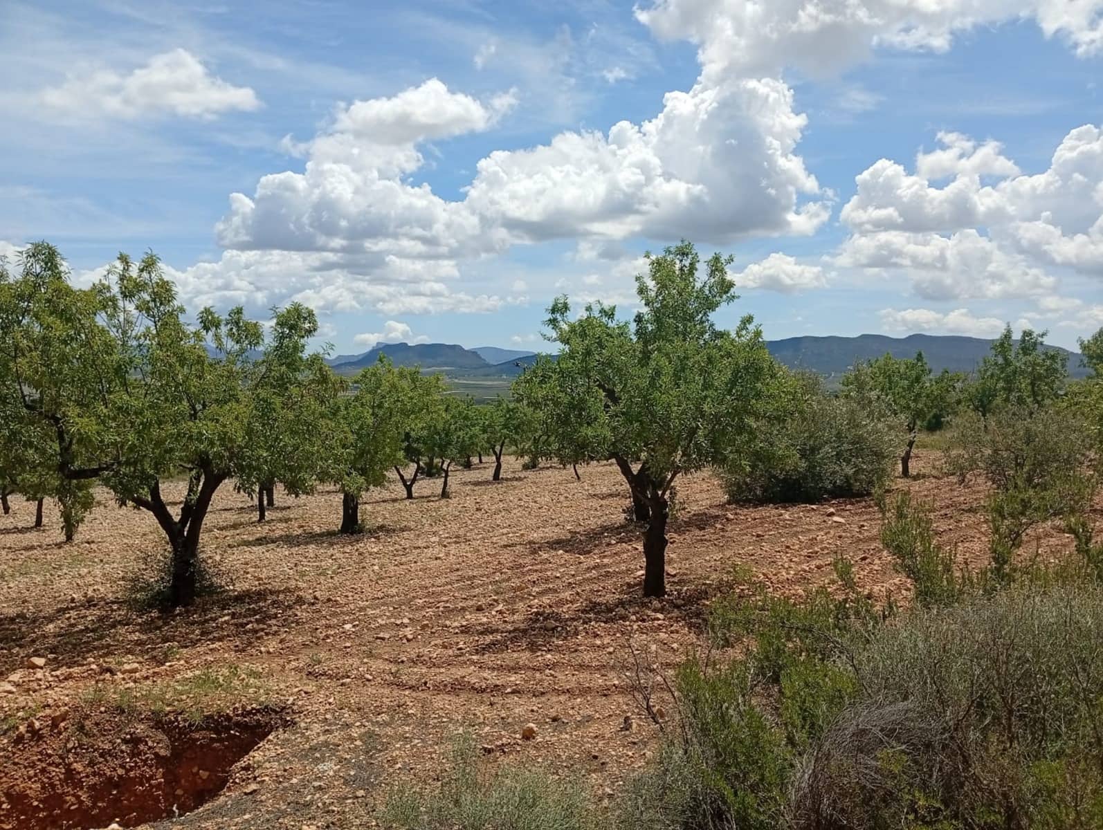 1 bedroom Finca/Country House for sale in Salinas - € 86,000 (Ref: 9893545)