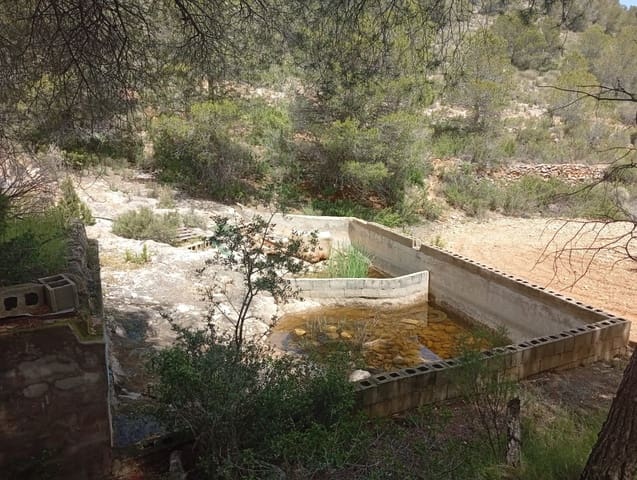 1 bedroom Finca/Country House for sale in Salinas - € 86,000 (Ref: 9893545)