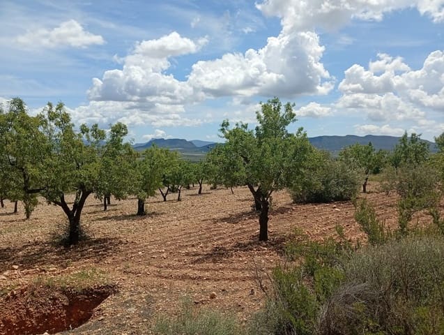1 bedroom Finca/Country House for sale in Salinas - € 86,000 (Ref: 9893545)