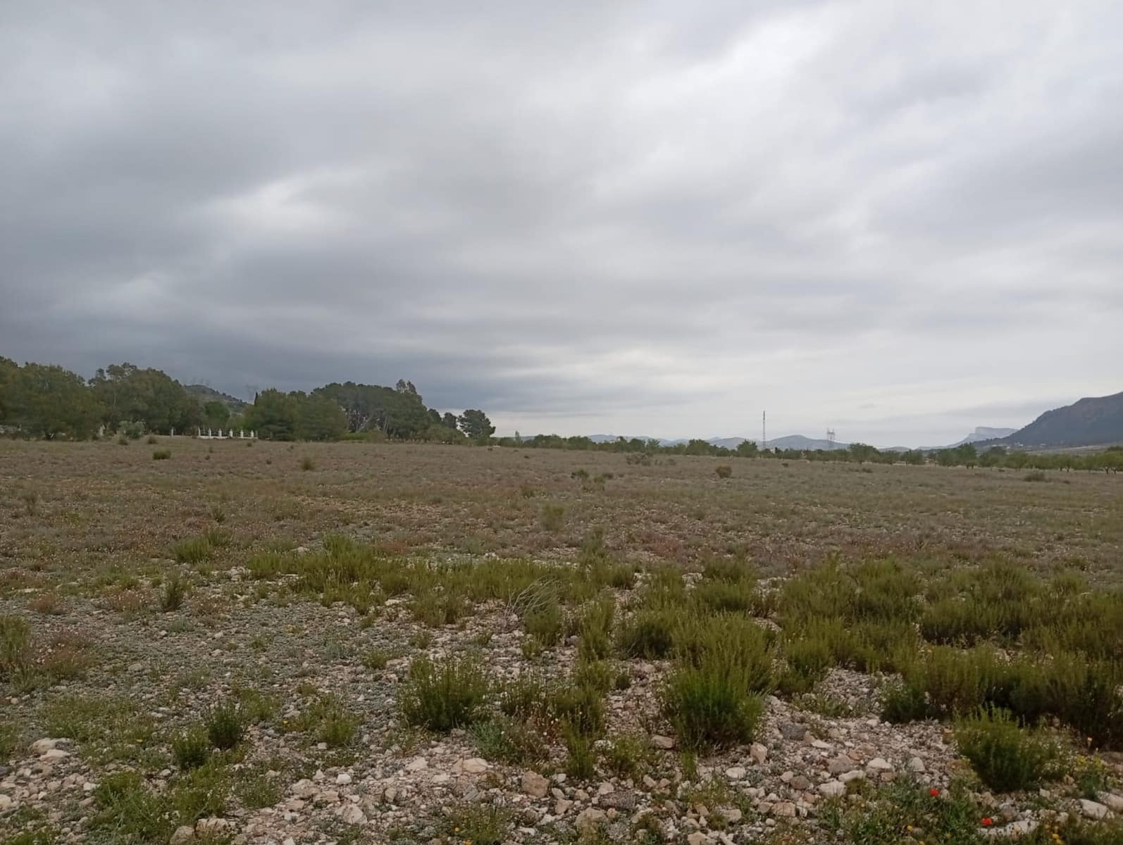 Tomt till salu i Salinas - 75 000 € (Ref: 9893546)