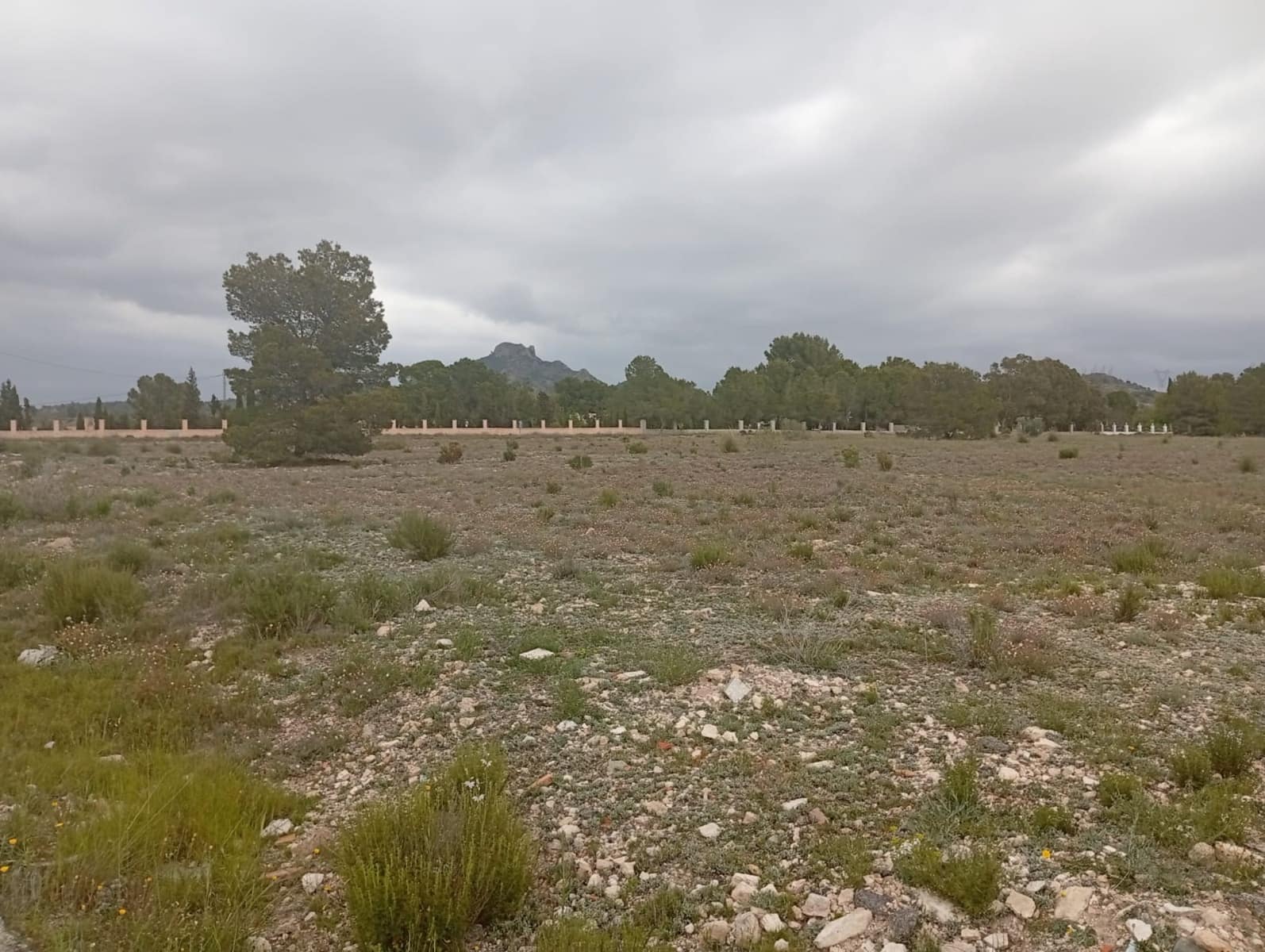Tomt till salu i Salinas - 75 000 € (Ref: 9893546)