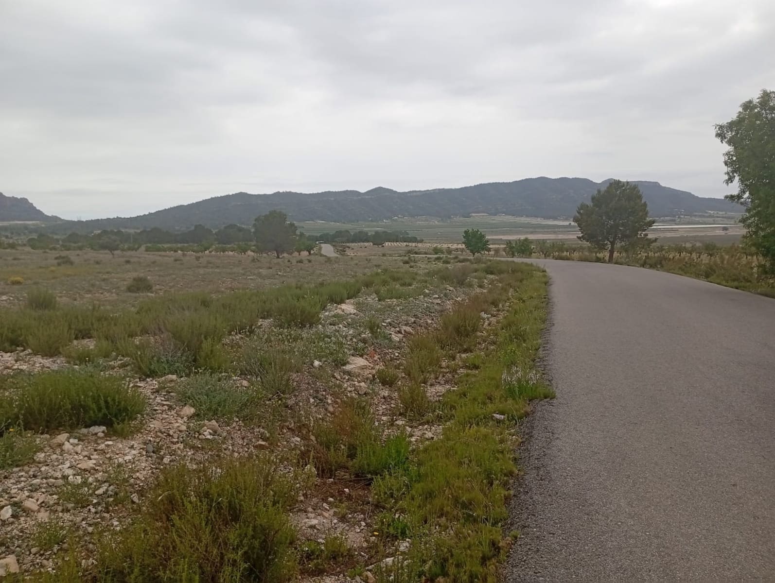 Tomt till salu i Salinas - 75 000 € (Ref: 9893546)