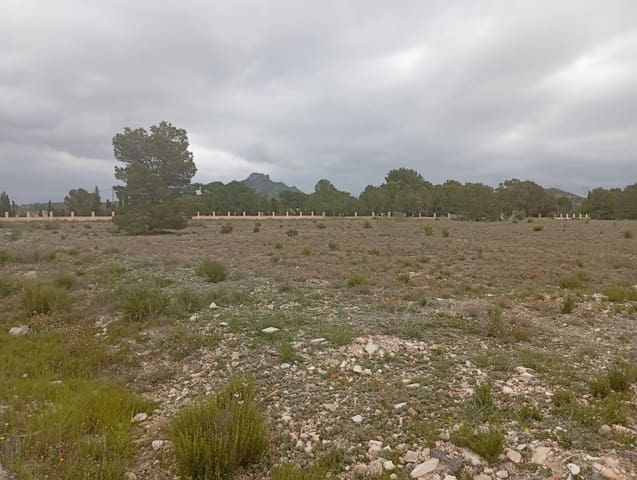 Terrain à Bâtir à vendre à Salinas - 75 000 € (Ref: 9893546)