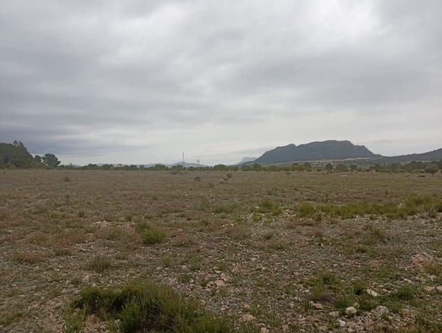 Terrain à Bâtir à vendre à Salinas - 75 000 € (Ref: 9893546)