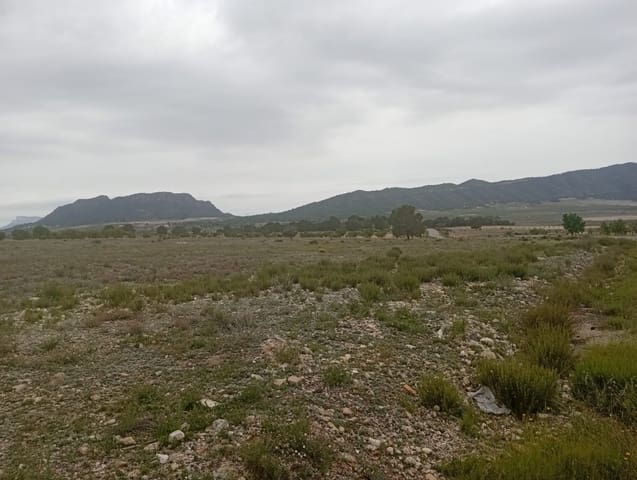 Terrain à Bâtir à vendre à Salinas - 75 000 € (Ref: 9893546)