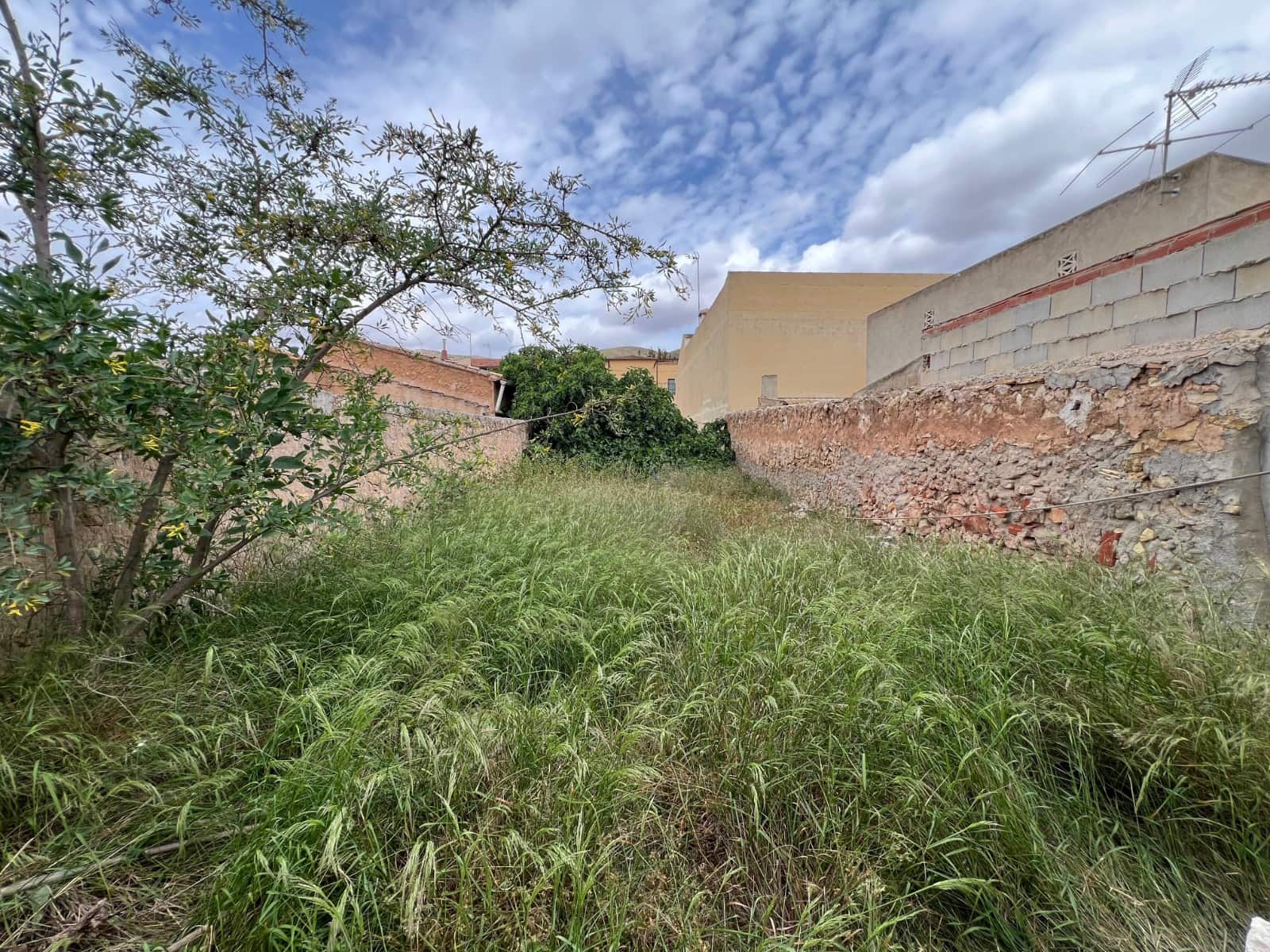 5 sypialnia Dom na sprzedaż w Hondon de los Frailes - 70 000 € (Ref: 9904907)