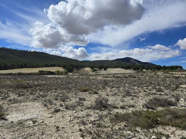 Terreno Non Edificato in vendita in Salinas - 39.995 € (Rif: 9904912)