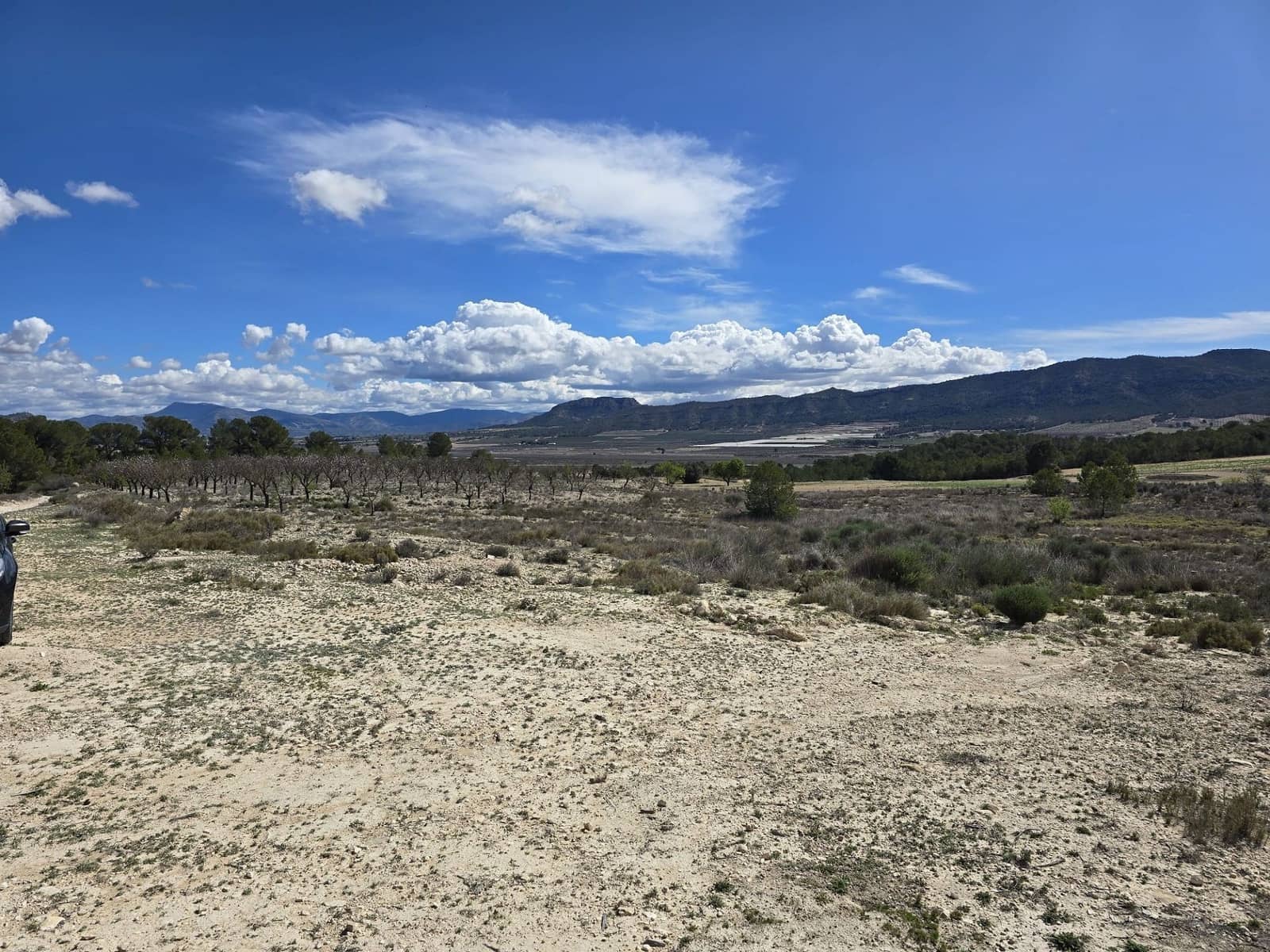 Terreno Non Edificato in vendita in Salinas - 39.995 € (Rif: 9904912)